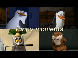 funny moments from the penguins of madagascar (tv show)