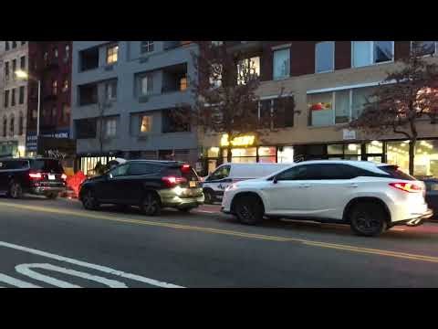 Tim Stroy New York 2025