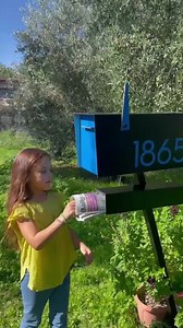 Contemporary Post Mounted Mailbox - Aluminum Ivory White Body and Aluminum Orange Door and Numbers - Modern Design - Custom Mailbox - Type 4 - Etsy