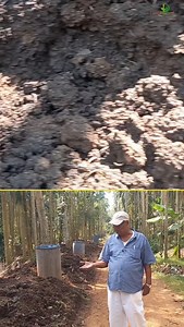 Organic Manure,#compost,|#composting,|#deerghaayush,|#naturalfarming,|#organicfarming,|#agriculture,|#shorts,|#trending | Deerghaayush