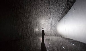 The Rain Room