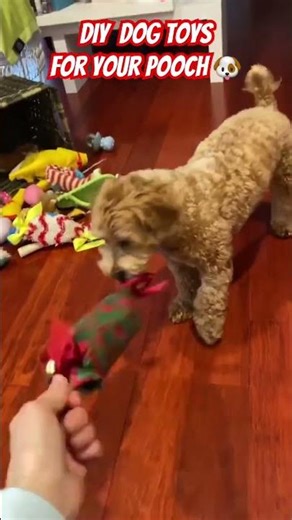 Homemade Dog Toys Dogs Actually Want to Play With #dogs #diy #tutorial