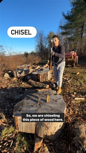 🪵 A chisel is a very useful tool for carving wood, rocks, and other hard substances. 🪵 A chisel is a type of machine called a wedge. 👇leave a comment below and let me know a sentence using chisel. . . . . #inglesonline #dicasdeingles #english #learnenglish #vocabulary #englishteacher #learning #grammar #education #englishlearning #inglês #language #englishlanguage #englishvocabulary #learn #englishgrammar #englishtips #instagram #american #teacher #tips #americanlife #toefl #american #freeeng