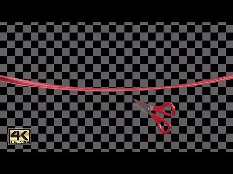 Ribbon Cutting Package Stock Motion Graphics