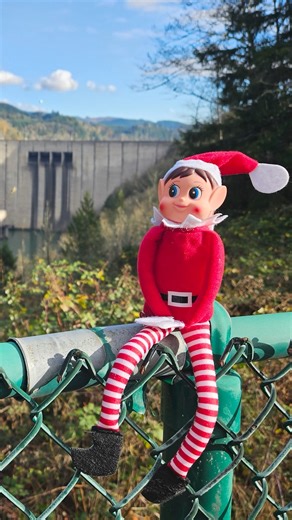 A Special Holiday Hire Has Arrived at the Cowlitz River Project 😉🎁