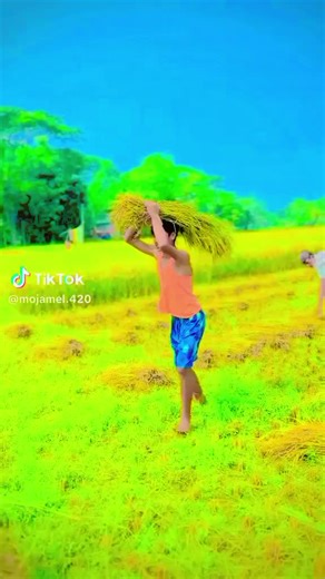 O Maya Maya go (@o.mayamayago)’s videos with original sound - O Maya Maya go