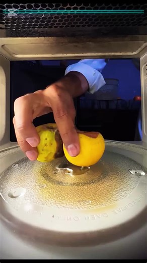 Fun Microwave Experiment Ideas