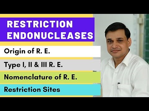 Restriction endonuclease enzymes - their types and nomenclature | Restriction or recognition sites