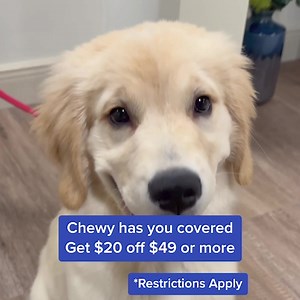 No need to go sniffing around. All new Chewy customers can get $20 off a purchase of $49 or more. | Chewy