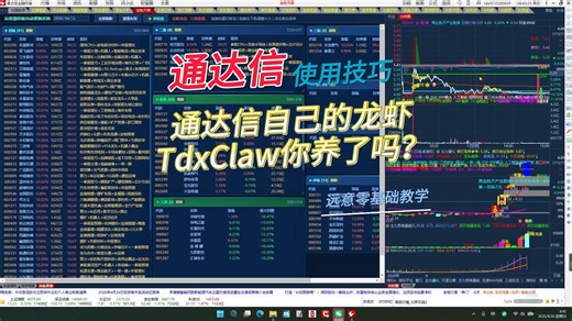 76.通达信自己的龙虾TdxClaw你养了吗？