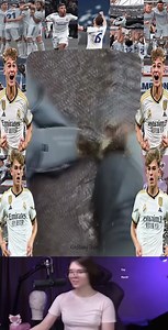 54K views · 245 reactions | Reach to rescue little Toenails from mango worms removal  #fypシ゚ #rescue #rescuedog #rescue #botfly #mangoworm #dog #doglove | Dr. Vinord Gambia | Facebook