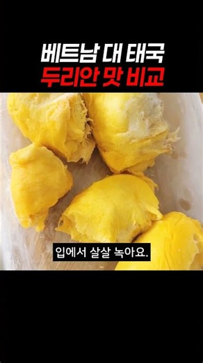 베트남 대 태국 두리안 맛 비교 #두리안 #열대과일 #과일추천