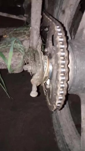 Mechanical Chain and Gears in Motion