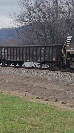 Turtle Train-It's Coming Down the Tracks - Rockwell, Tn. #tennessee