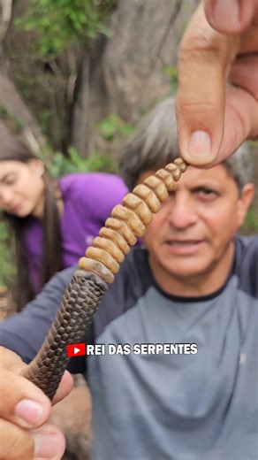 1.1M views · 10K reactions | O som do guizo é um mecanismo de defesa, alertando predadores e outros animais sobre a presença da cascavel! #perigo #AVISO #defesa | Rei Das Serpentes | Facebook