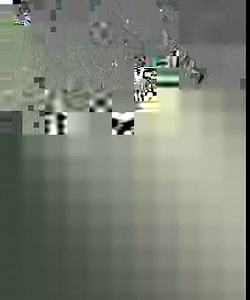 Copet mulai beraksi di pasar tanah merah kabupaten boven digoel. Pelaku modusnya dengan menggunakan anak anak sebagai pelakunya. | INFO KEJADIAN KOTA MERAUKE