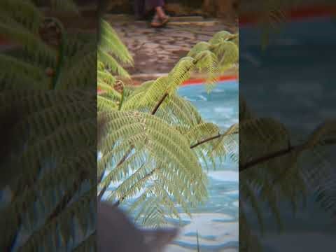 “Ilahana Ya Ilahana – Beautiful & Emotional Islamic Nasheed That Touches the heart #ilahanayailahana