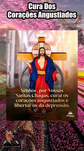 Corações angustiados encontram cura nas Santas Chagas de Jesus 🩸