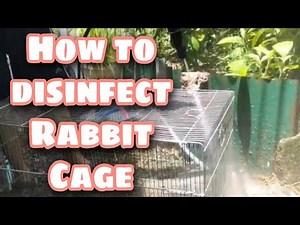 How to Disinfect Rabbit Cages-Rabbit Farming Facts and Care/Backyard Rabbitry