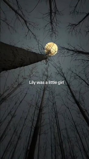 Alan Walker, Emelie Hollow & K-391 - Lily | Lyrics | Aesthetic | Slowed | English Songs #alanwalker