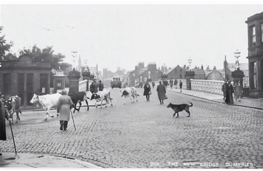 The ‘New Bridge’ viewed from the bottom of Buccleuch Street Dumfries around 1920. This AI animation from the original photo recreates this moment in time with Cattle being herded to the Whitesands livestock market. | Dumfries Memories