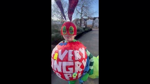 Handmade Hungry Caterpillar costume for the win