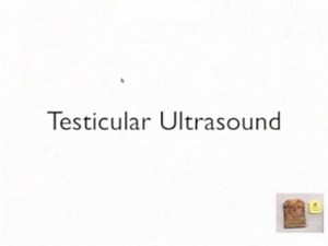 UltrasoundPodcast.com - Testicular Ultrasound Part 1