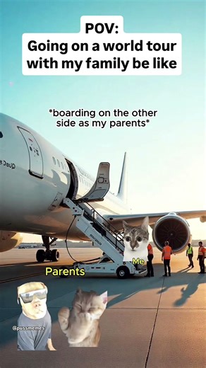 CAT MEMES 😺Going on a world tour with my family be like #catmemes #relatable #relationship