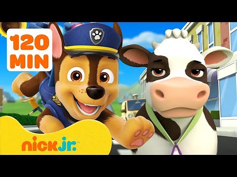 PAW Patrol Animal Rescue Missions in Adventure Bay! 🐮🐱 | 2 Hours | Nick Jr.