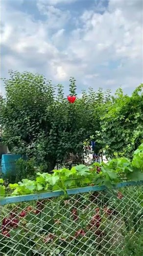 МІЙ ДІМ💔/*осія країна гній/ВІЙНА