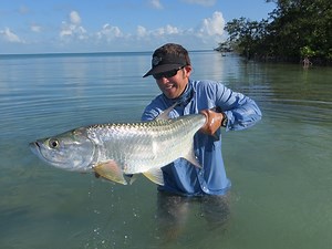 Fish Facts: Everything You Need to Know About Tarpon - Orvis News