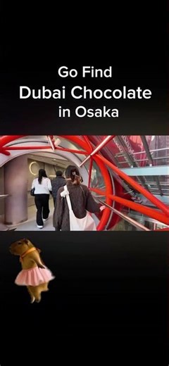 Japan Daily Hobby Vlog - New Episodes Daily