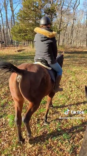Hilarious Horse Pooping and Peeing Moments | Equestrian Fun