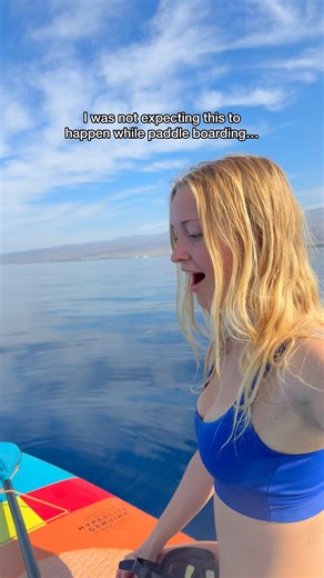 Craziest paddle board of my life!! #humpbackwhale