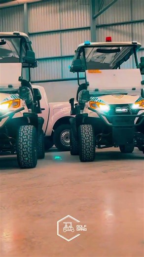 Carro Patrulla y Seguridad Privada