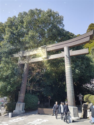 宮崎の聖地 高千穂神社 は、日本神話の中心とも言われる、とても神秘的な場所です🩷⛩️🫶🥰 高千穂神社（たかちほじんじゃ） 日本神話の舞台とされる聖地⛩️ 宮崎県高千穂町にある 高千穂神社 は、 約1900年前に創建されたと言われる、由緒ある神社です。 この地は、日本神話で有名な ✨ 天孫降臨（てんそんこうりん） ✨ 天岩戸神話 などの舞台とされる場所。 つまり、日本のはじまりの物語が残る 神話のふるさととも呼ばれています。 ご祭神（お祀りされている神様） 高千穂神社には 高千穂皇神（たかちほすめがみ） という神様が祀られています。 こちらは、 天孫降臨に関わる神々と その子孫である神々を合わせた総称です。 特に有名なのは ・瓊瓊杵尊（ににぎのみこと） ・木花咲耶姫命（このはなさくやひめ） など、日本神話の重要な神様。 夫婦杉（めおとすぎ） 境内でとても有名なのが 🌲 夫婦杉 2本の杉が1つに寄り添うように立つご神木。 この周りを ✨手をつないで3周回ると ・夫婦円満 ・縁結び ・家内安全 のご利益があると言われています。 夜神楽（よかぐら） 高千穂神社では毎晩 高千穂神楽 が奉