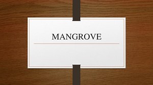 MANGROVE - SlideServe