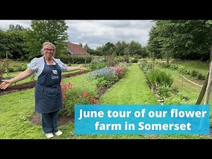 June tour of this flower farm