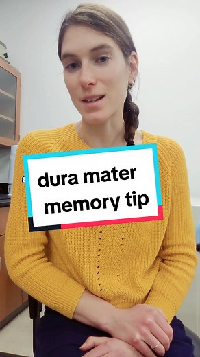 Anatomy Memory Tip: Remembering the Dura Mater