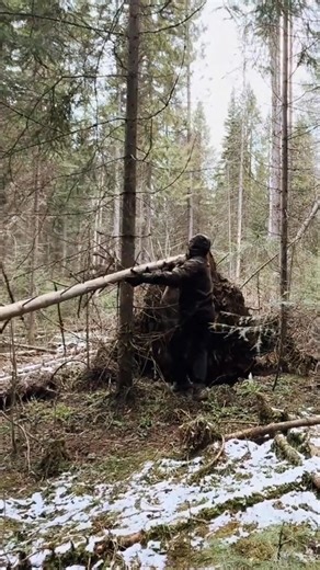 1_Living in the log cabin - making a chairs#build #wildernesscrafters #fyp #bushcraft #outdoor #shelter | ดูแลช่องปากคุณหนูหนู