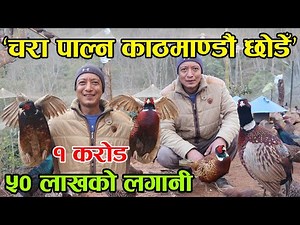 काठमाण्डौंमा दैनिक ५० हजारको व्यापार छोडेर गाउँमा कालिज पाल्ने सुनिल दाईको कुरा सुनौं │Nepal Chitra