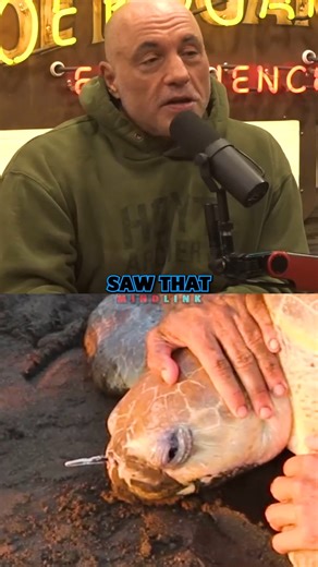 😬The Truth About Paper Straws🥤