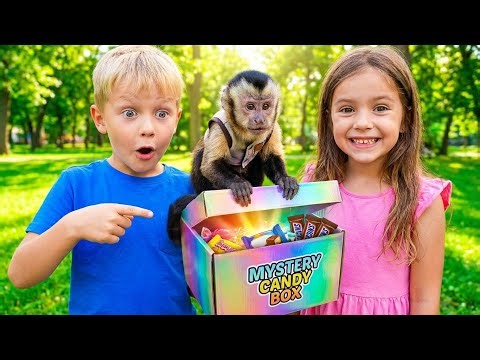 Mystery Candy Box Surprise in the Park! Real Monkey & Kids Chocolate Fun USA & Europe Kids Video