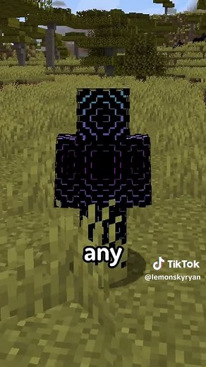 Exploring the World Border in Minecraft Mod Reviews