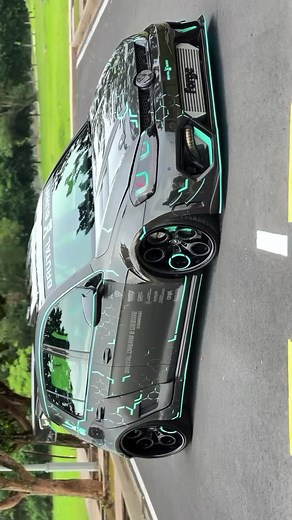 Angry Bunny Attack - Brutal Action Footage