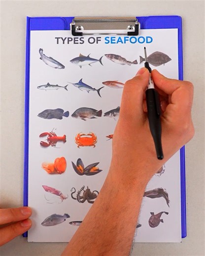 10K views · 17 reactions | Types of Seafood | Genius Craft | Facebook