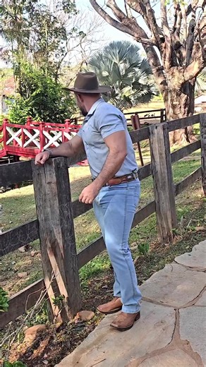 Os bichos estão animados hoje