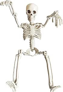 Halloween Skeletons Decorations, 16" Realistic Full Body Skeleton with Movable Joints, White Plastic, Gothic Style, Perfect for Halloween Parties & Haunted Houses