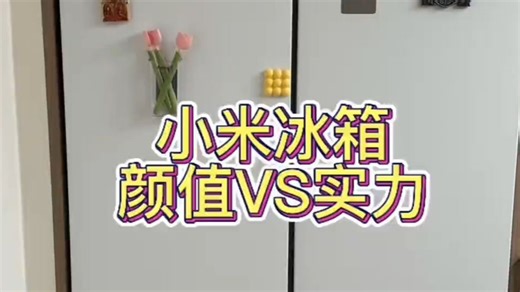 小米冰箱超详细介绍 439升法式冰箱，颜值高，容量大，能耗低，制冷好，推荐 冰箱 小米.....
