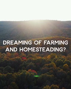 352 reactions · 37 shares | Start your journey towards financial freedom and enjoy a life with the skills that are longing to be learned. The Foundations of Farming and Homesteading Course by Joel Salatin will teach you the start-up basics of homesteading and farming. This course is appropriate for beginners who want to know about homesteading as well as experts who want to improve their current methods. Get started today! | Polyface Farm | Facebook